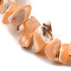 Natural Trochid Shell/Trochus Shell Beads Strands&nbsp;SHEL-B003-02B
