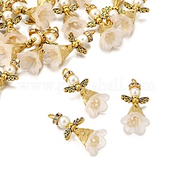 30Pcs Acrylic Pendants&nbsp;PALLOY-JF03902