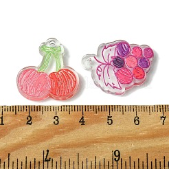 Transparent Acrylic Pendants&nbsp;SACR-P032-04