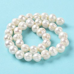 Natural Cultured Freshwater Pearl Beads Strands&nbsp;PEAR-E019-02