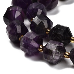 Natural Amethyst Beads Strands&nbsp;G-P568-B02-01
