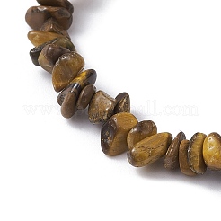 Natural Tiger Eye Chips Beaded Stretch Bracelets for Women&nbsp;BJEW-JB10046-05