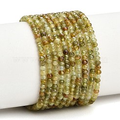 Natural Green Garnet Beads Strands&nbsp;GG-CBA77FB-C01-01
