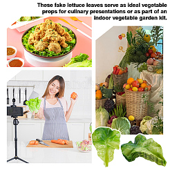 PVC Lettuce Leaf Display Decorations&nbsp;DJEW-WH0042-134