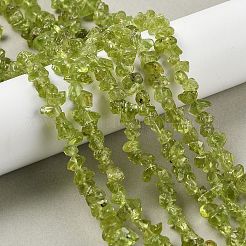 Natural Peridot Beads Strands&nbsp;G-P332-48-01