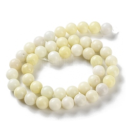 Natural Jade Beads Strands&nbsp;G-L609-A01-01