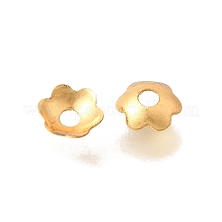 Brass Bead Caps&nbsp;KK-G600-18G