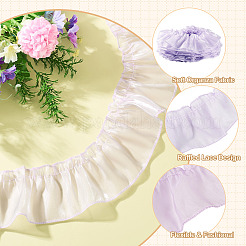 Polyester Lace Ribbon&nbsp;OCOR-TAC0035-25F