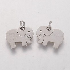 Tarnish Resistant 304 Stainless Steel Pendants&nbsp;STAS-Q201-T463S