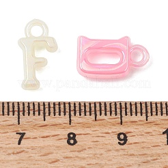Imitation Jelly Acrylic Pendants&nbsp;OACR-G058-09
