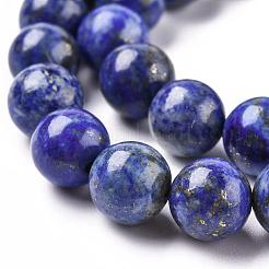 Natural Lapis Lazuli Round Bead Strands&nbsp;X-G-E262-01-10mm
