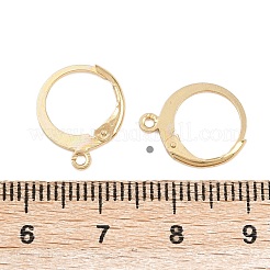 304 Stainless Steel Leverback Earring Findings&nbsp;STAS-F141-02G