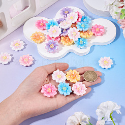 60Pcs 6 Colors Opaque Resin Cabochons&nbsp;RESI-TA0005-43