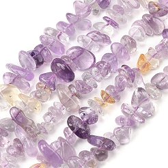 Natural Ametrine Beads Strands&nbsp;G-P622-A02-02