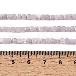 Natural Kunzite Beads Strands&nbsp;G-A293-A01-01