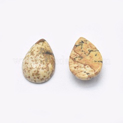 Natural Picture Jasper Cabochons&nbsp;G-P384-N07