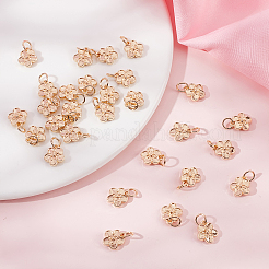 40Pcs Rack Plating Alloy Charms&nbsp;FIND-BBC0004-44