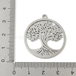 304 Stainless Steel Pendants&nbsp;STAS-V016-11P
