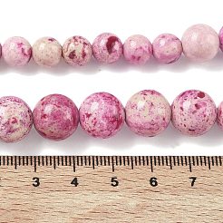 Natural Fossil Graduated Beads Strands&nbsp;G-F830-A03-01B