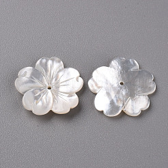 Natural White Shell Mother of Pearl Shell Beads&nbsp;SSHEL-R144-10