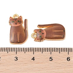 Rack Plating Alloy Pendants&nbsp;FIND-C059-03G