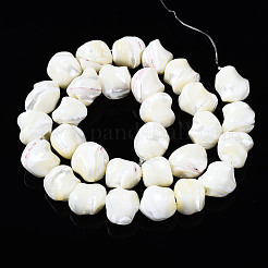 Natural Trochid Shell/Trochus Shell Beads Strands&nbsp;SSHEL-S266-003