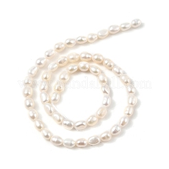 Natural Cultured Freshwater Pearl Beads Strands&nbsp;PEAR-I007-01B-04B