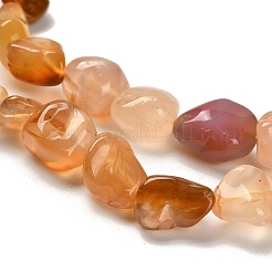 Natural Carnelian(Dyed & Heated) Beads Strands&nbsp;G-P497-01C-69