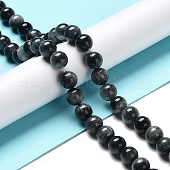 Natura Hawk's Eye Beads Strands&nbsp;G-D0001-22B-8mm-01