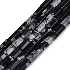 Natural Snowflake Obsidian Beads Strands&nbsp;GG-N002-01A-05