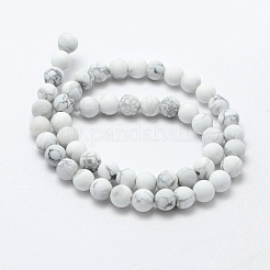 Natural Howlite Beads Strands&nbsp;X-G-F518-22-8mm