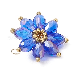 Glass Pendantns&nbsp;PALLOY-MZ01143