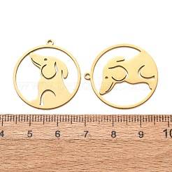 201 Stainless Steel Pendants&nbsp;SA-CBA49C1-07G