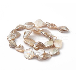 AB Color Plated Natural Freshwater Shell Beads Strands&nbsp;BSHE-G033-03B