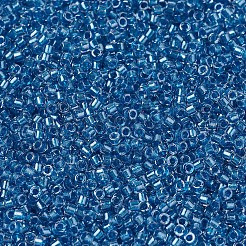 MIYUKI Delica Beads&nbsp;SEED-X0054-DB0905