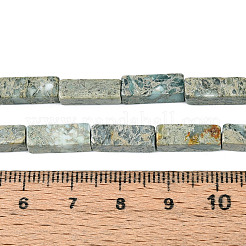 Natural Variscite Beads Strands&nbsp;G-T141-108
