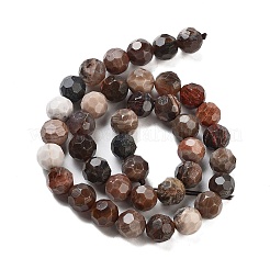 Natural Petrified Wood Beads Strands&nbsp;G-C150-B01-02