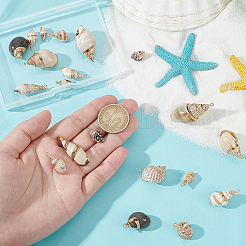 20Pcs 10 Styles Electroplated Spiral Shell Pendants&nbsp;SSHEL-HY0001-04