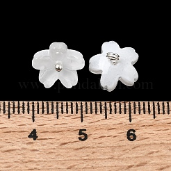 Glass Charms&nbsp;GLAA-G127-05J