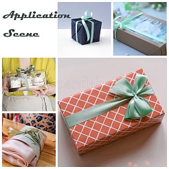 Single Face Satin Ribbon&nbsp;RC6mmY-141