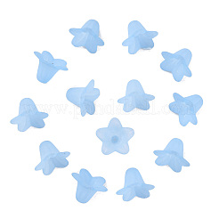 Transparent Acrylic Beads&nbsp;PLF018-06