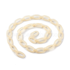 Handmade Acrylic Cable Chains&nbsp;AJEW-JB00956-02