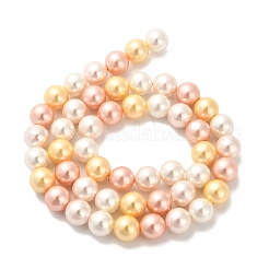 Shell Pearl Beads Strands&nbsp;BSHE-XCP0001-36