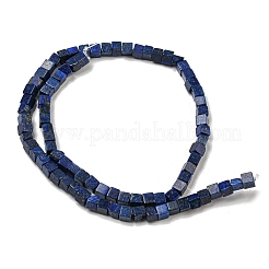 Natural Lapis Lazuli Beads Strands&nbsp;G-F631-K28