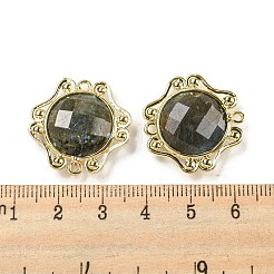 Natural Labradorite Faceted Connector Charms&nbsp;G-M431-09G-02