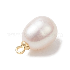 Natural Freshwater Pearl Rice Charms&nbsp;PALLOY-JF04858-02