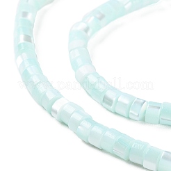 Natural Trochus Shell Dyed Beads Strands&nbsp;BSHE-E030-10B
