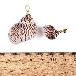 Brass & Natural Spiral Shell Pendants&nbsp;SHEL-Q029-27KCG