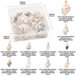 20Pcs 10 Styles Electroplated Natural Spiral Shell Pendants&nbsp;SSHEL-FS0001-11