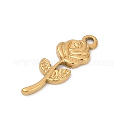 304 Stainless Steel Pendants&nbsp;STAS-C121-12G